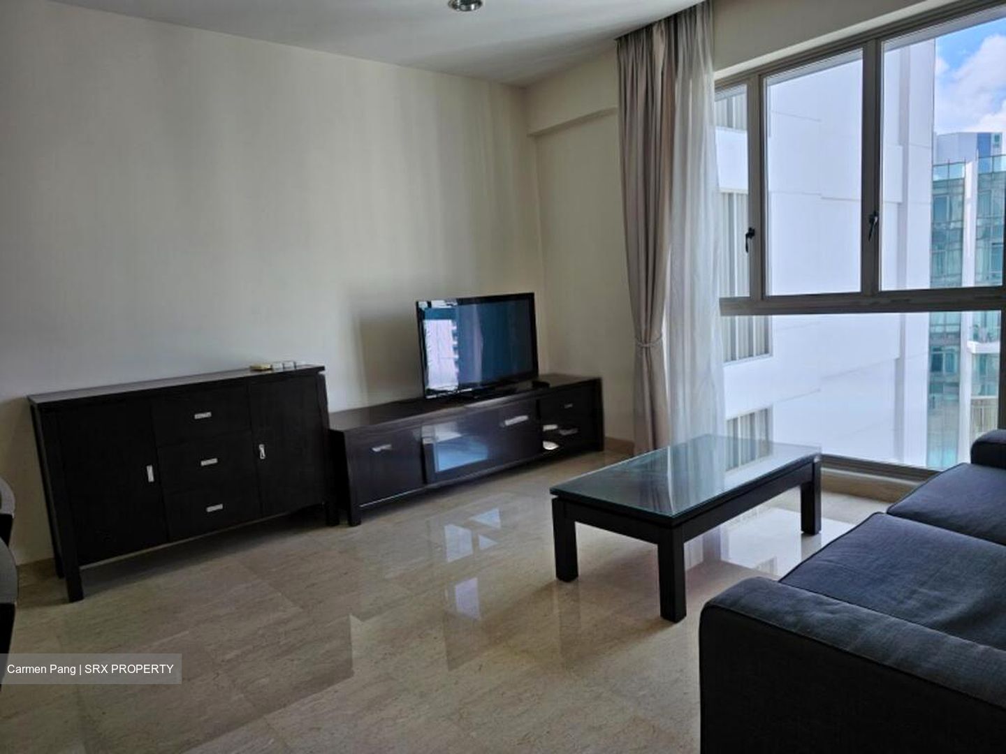 Amaryllis Ville (D11), Condominium #444236461
